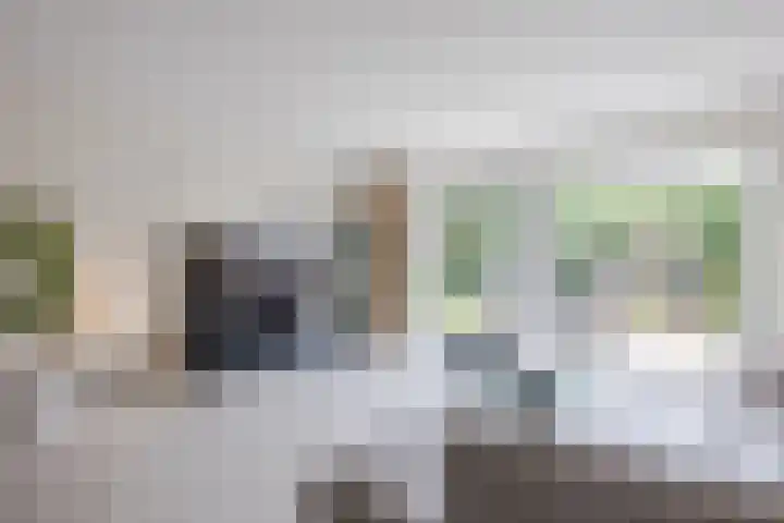 Schoener 20 Meppel thumbnail 4