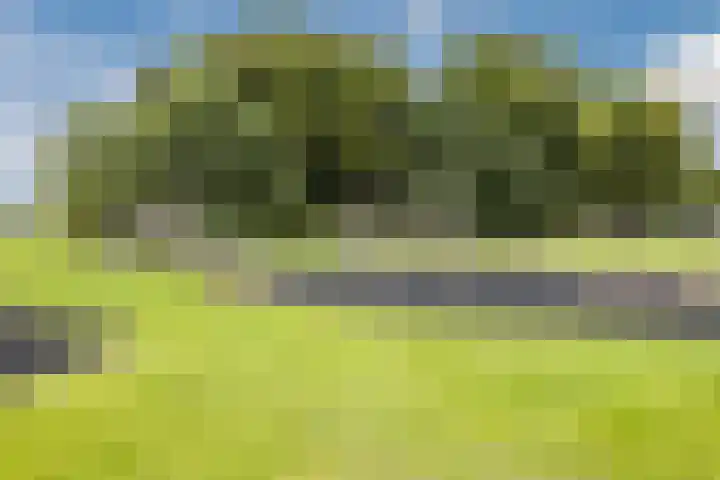 Schoener 20 Meppel thumbnail 40