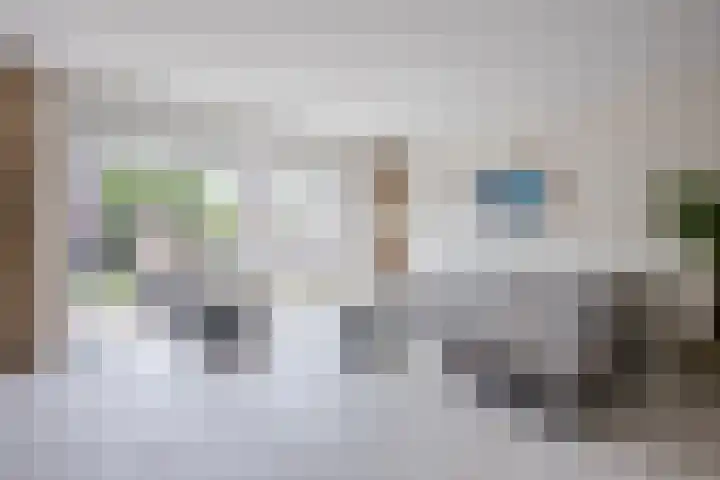 Schoener 20 Meppel thumbnail 5