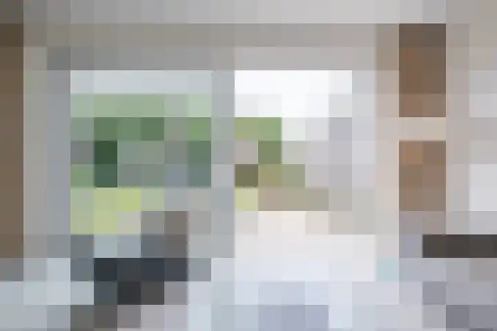 Schoener 20 Meppel thumbnail 6