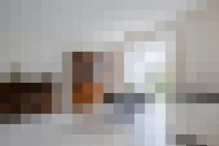 Schoener 20 Meppel thumbnail 8