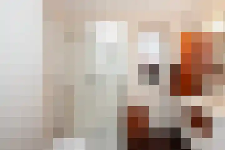 Schoener 22 Alblasserdam thumbnail 22