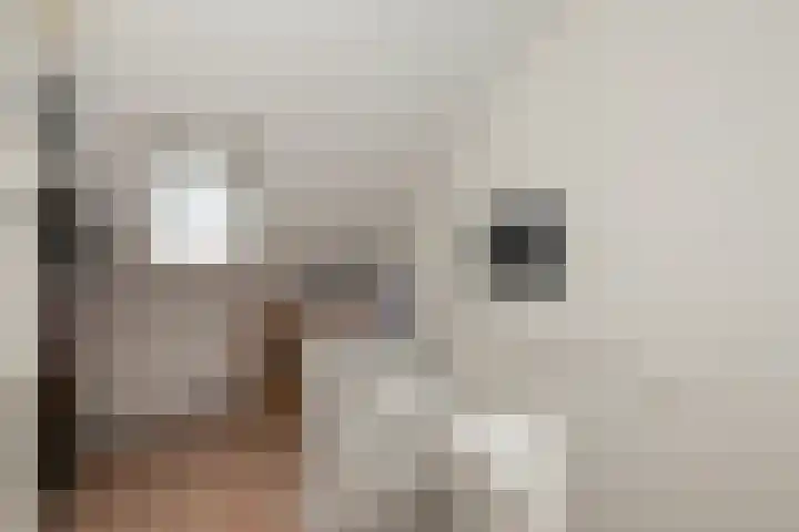 Schoener 22 Alblasserdam thumbnail 26