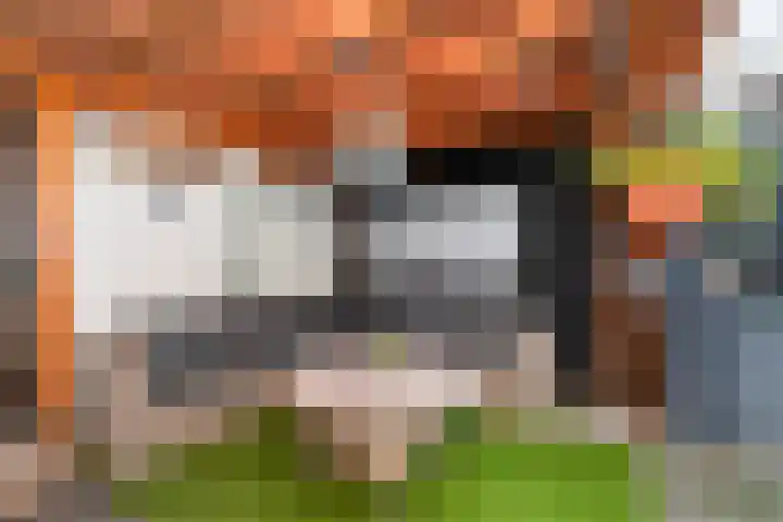Schoener 22 Alblasserdam thumbnail 34