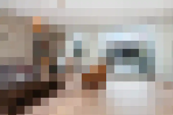 Schoener 22 Alblasserdam thumbnail 8