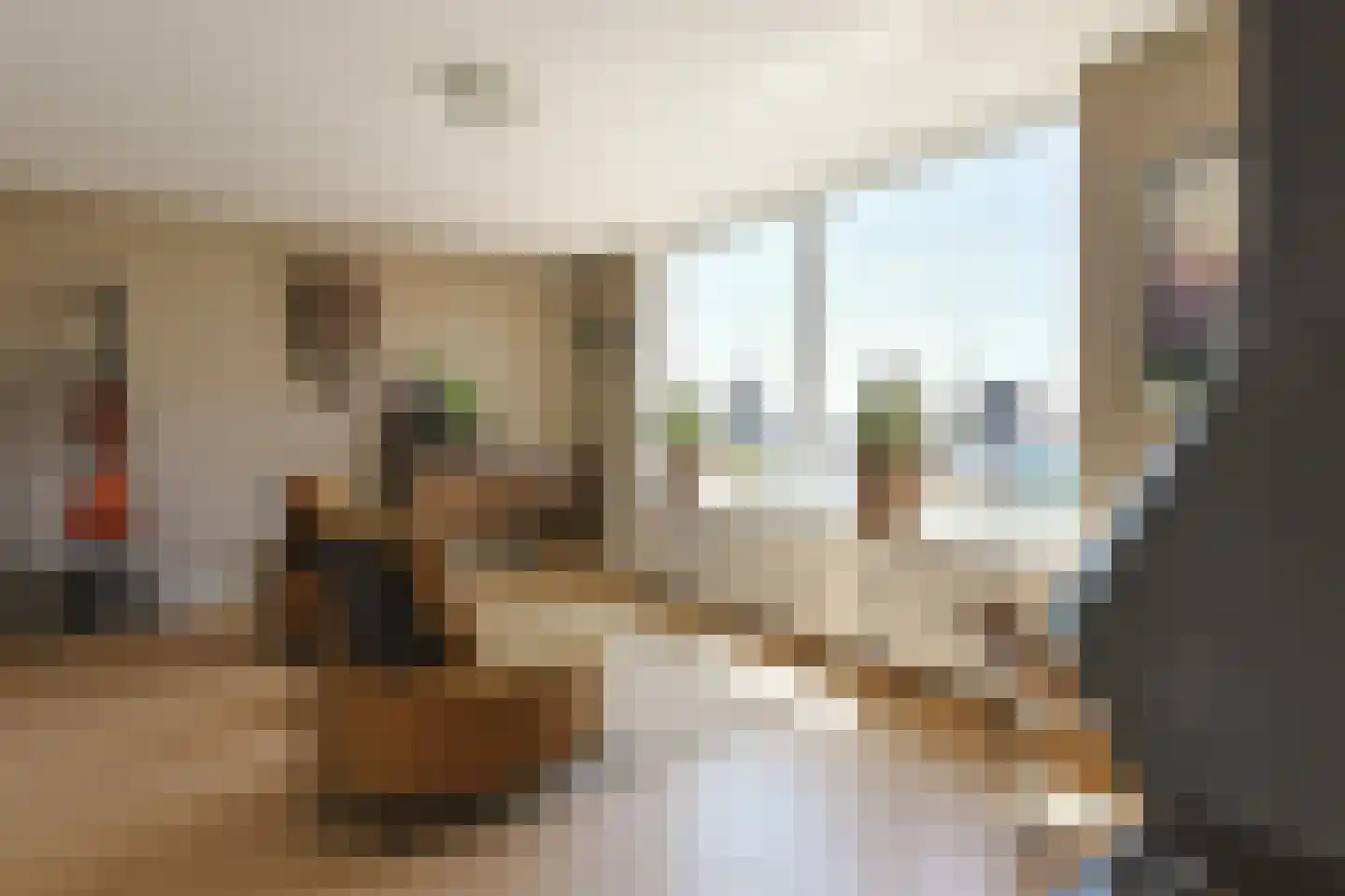 Schoener 22 Alphen aan den Rijn thumbnail 27