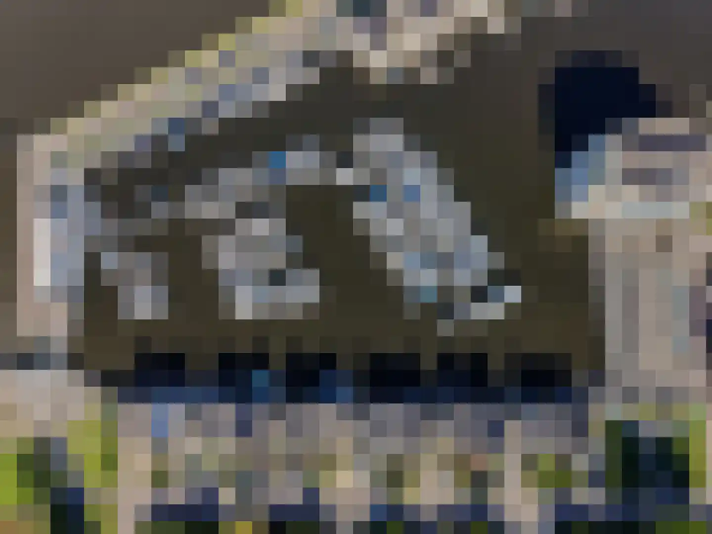 Schoener 22 Alphen aan den Rijn thumbnail 74