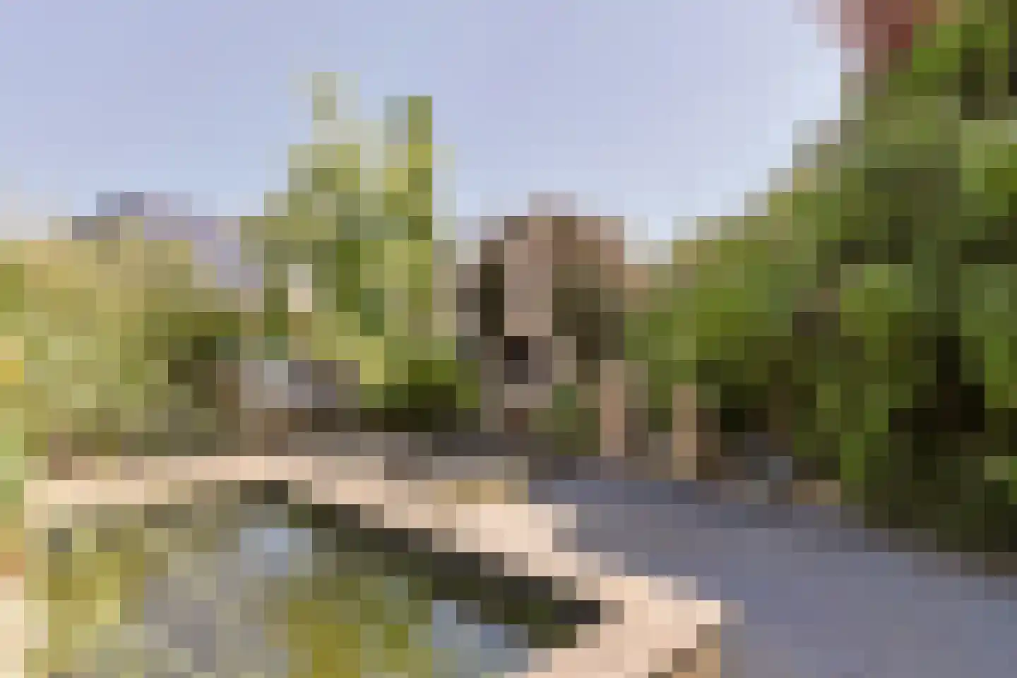 Schoener 22 Alphen aan den Rijn thumbnail 8