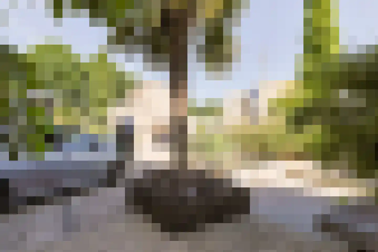 Schoener 22 Alphen aan den Rijn thumbnail 9
