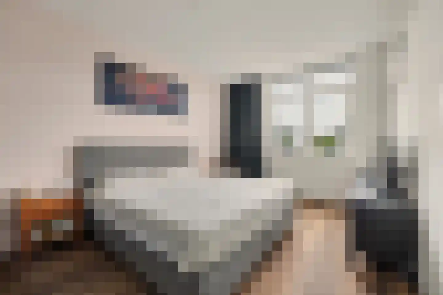 Schoener 24 Spijkenisse thumbnail 10
