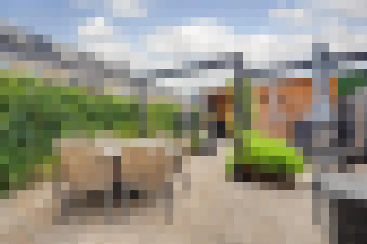 Schoener 24 Spijkenisse thumbnail 21