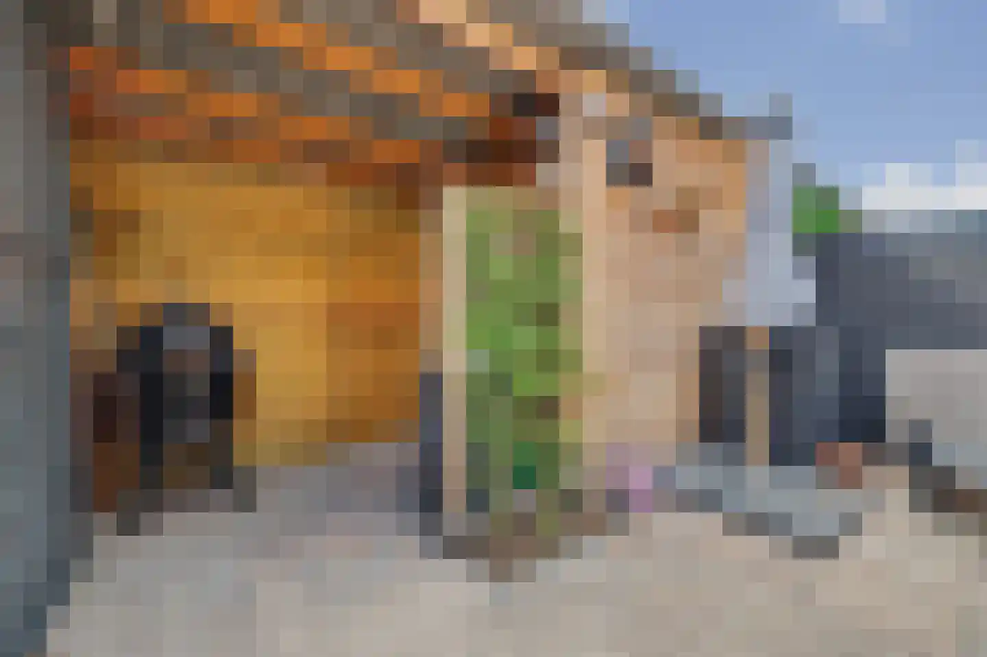 Schoener 24 Spijkenisse thumbnail 25