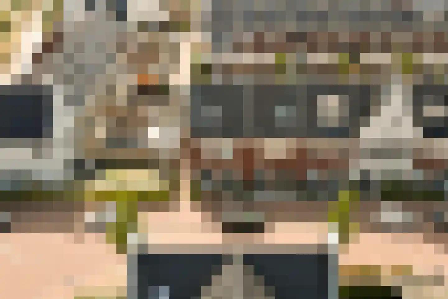 Schoener 24 Spijkenisse thumbnail 27