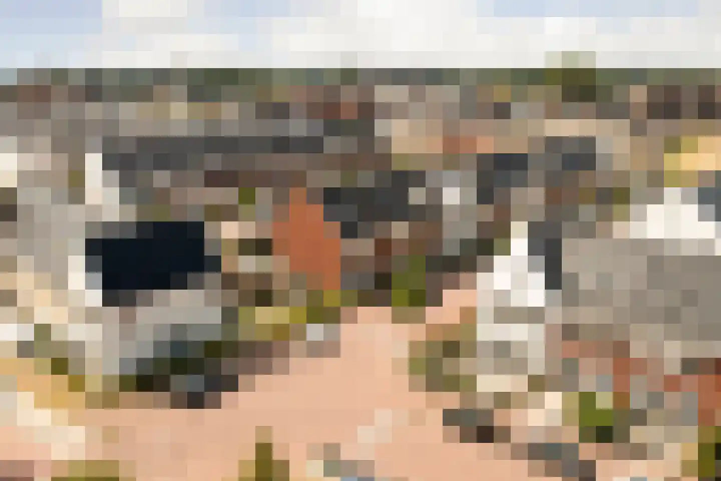 Schoener 24 Spijkenisse thumbnail 28