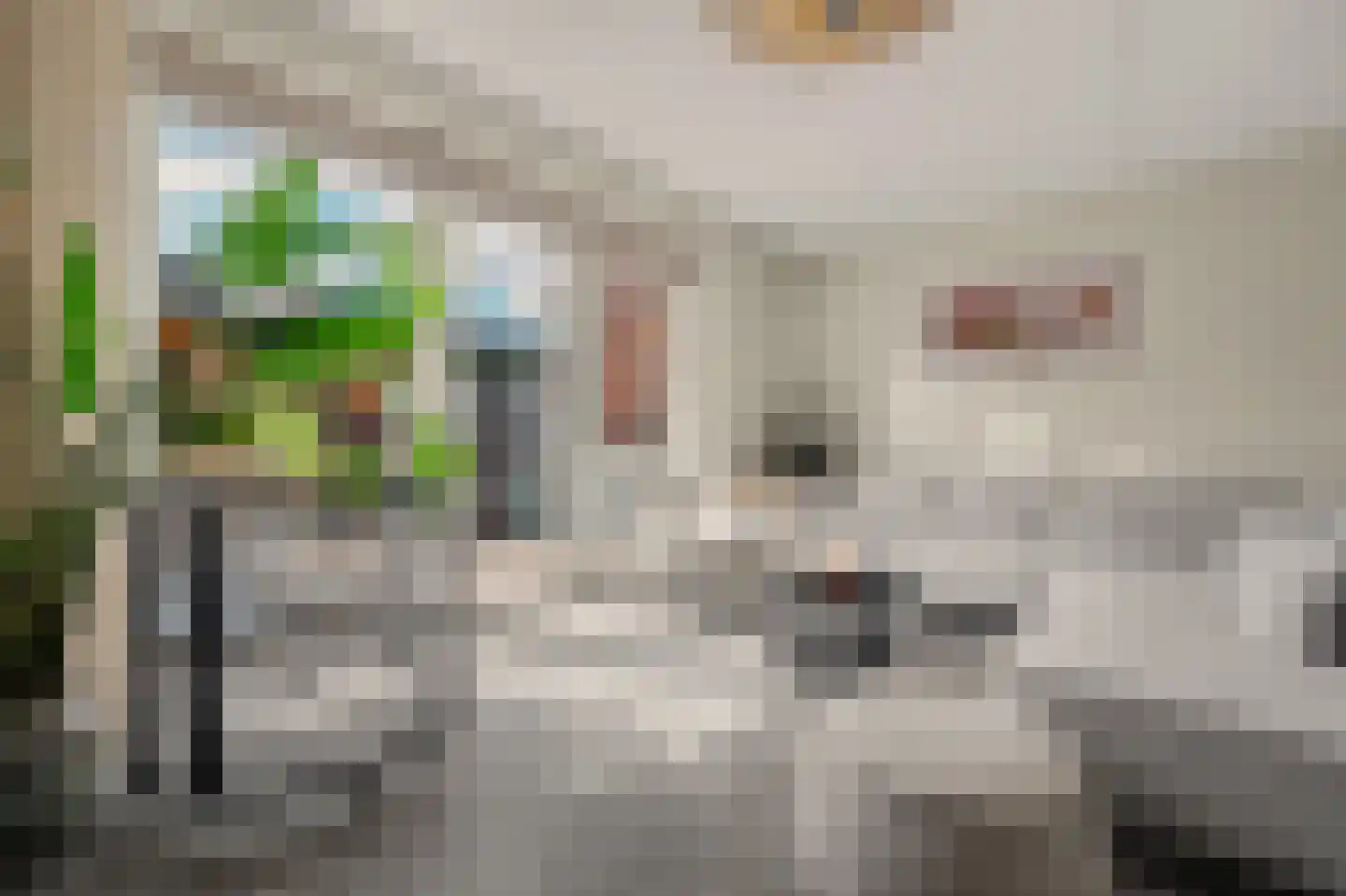 Schoener 24 Spijkenisse thumbnail 4