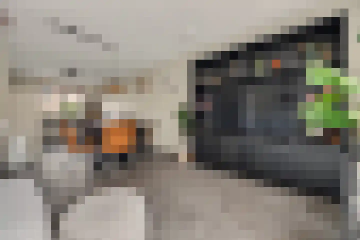 Schoener 24 Spijkenisse thumbnail 5