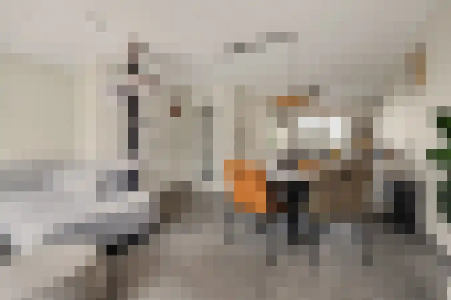 Schoener 24 Spijkenisse thumbnail 6