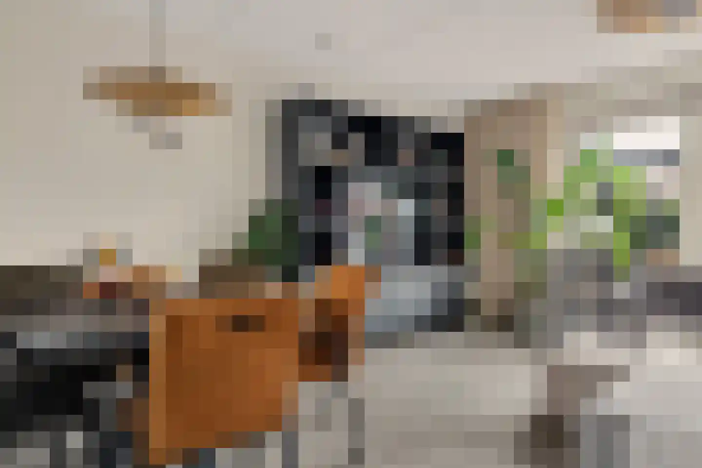 Schoener 24 Spijkenisse thumbnail 7
