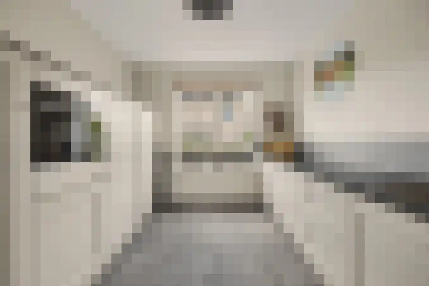 Schoener 24 Spijkenisse thumbnail 9
