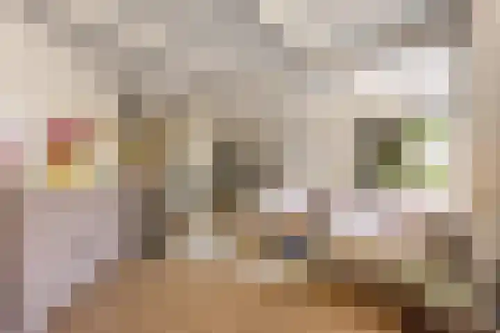 Schoener 24 Wieringerwerf thumbnail 10