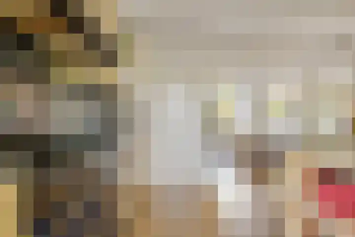 Schoener 24 Wieringerwerf thumbnail 20