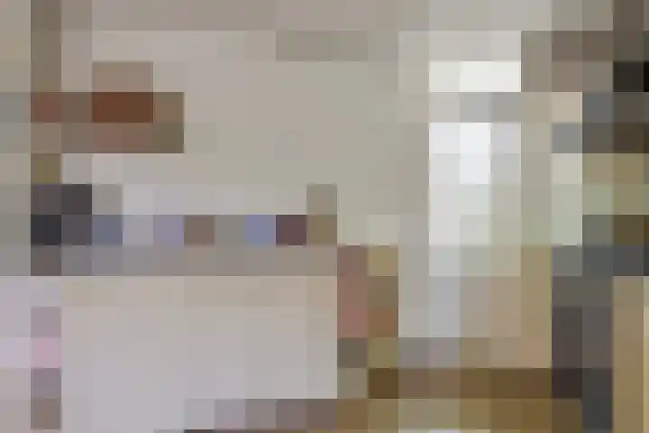 Schoener 24 Wieringerwerf thumbnail 21