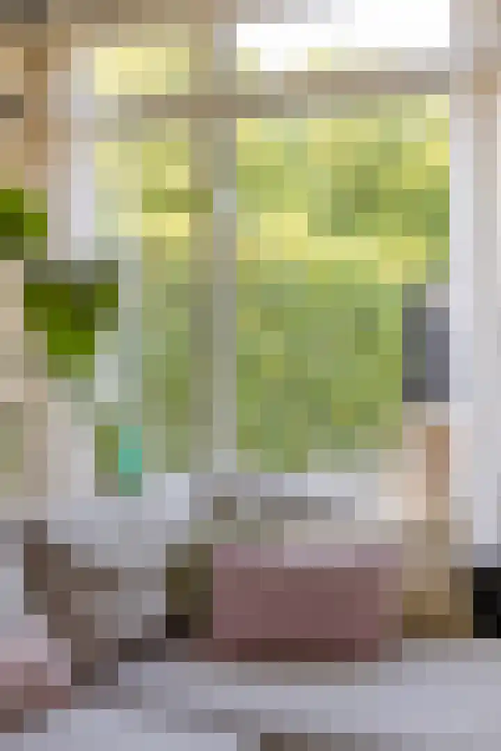 Schoener 24 Wieringerwerf thumbnail 24