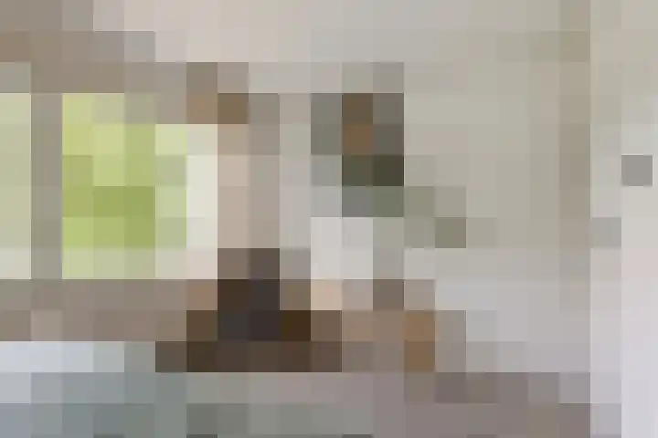 Schoener 24 Wieringerwerf thumbnail 29