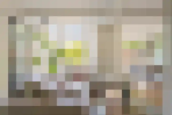 Schoener 24 Wieringerwerf foto 3