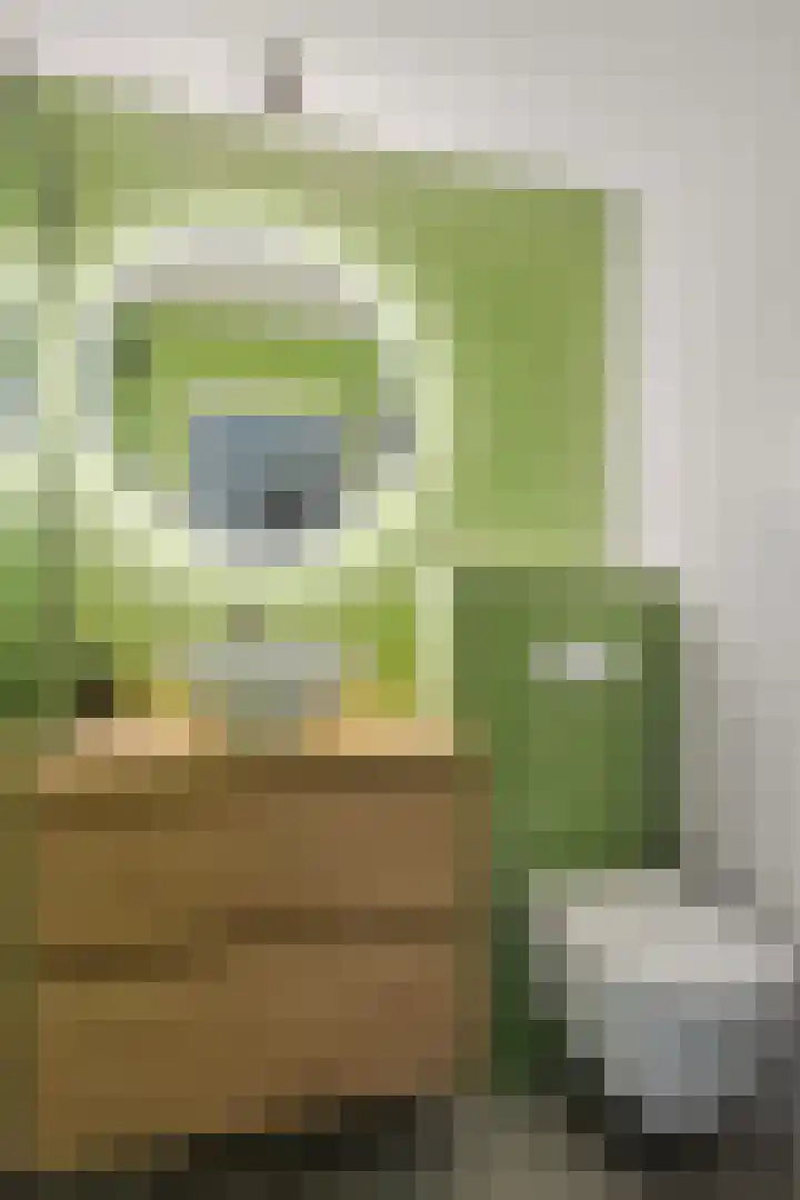 Schoener 24 Wieringerwerf thumbnail 30