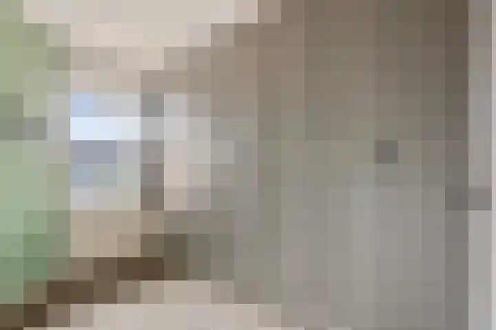 Schoener 24 Wieringerwerf thumbnail 36