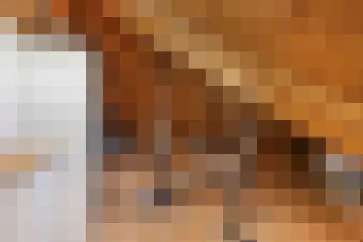 Schoener 24 Wieringerwerf thumbnail 39