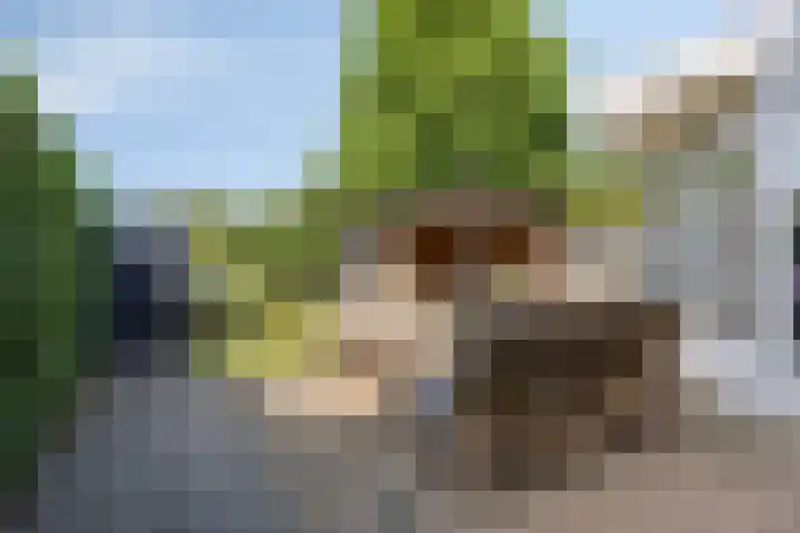 Schoener 24 Wieringerwerf thumbnail 42