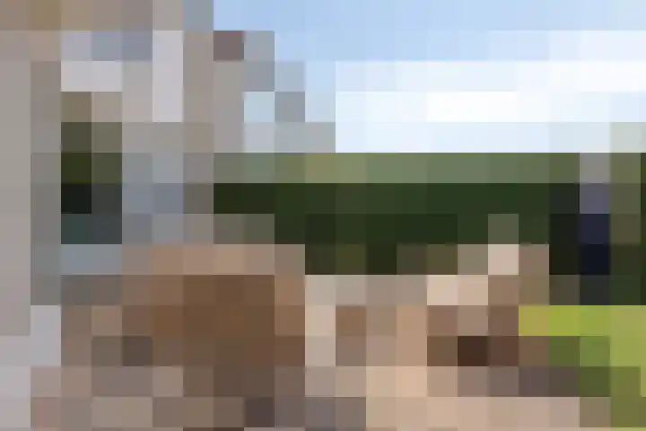 Schoener 24 Wieringerwerf thumbnail 44
