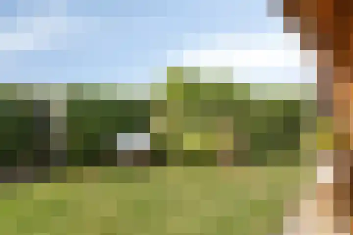 Schoener 24 Wieringerwerf thumbnail 46