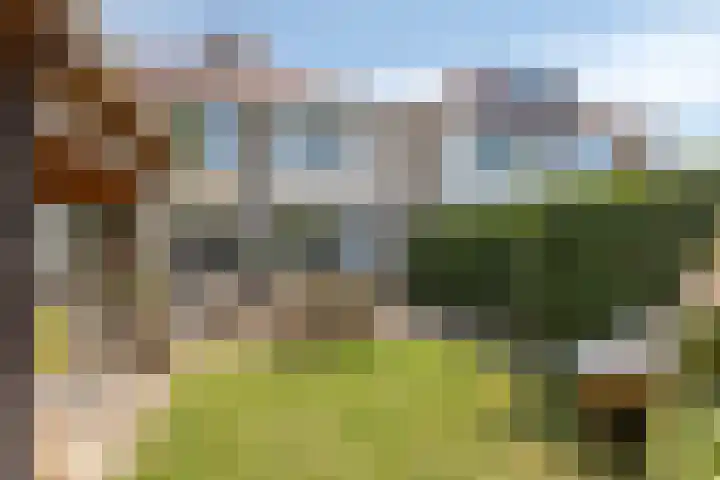 Schoener 24 Wieringerwerf thumbnail 47