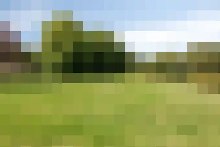 Schoener 24 Wieringerwerf thumbnail 49