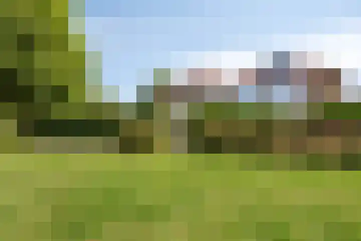 Schoener 24 Wieringerwerf thumbnail 5