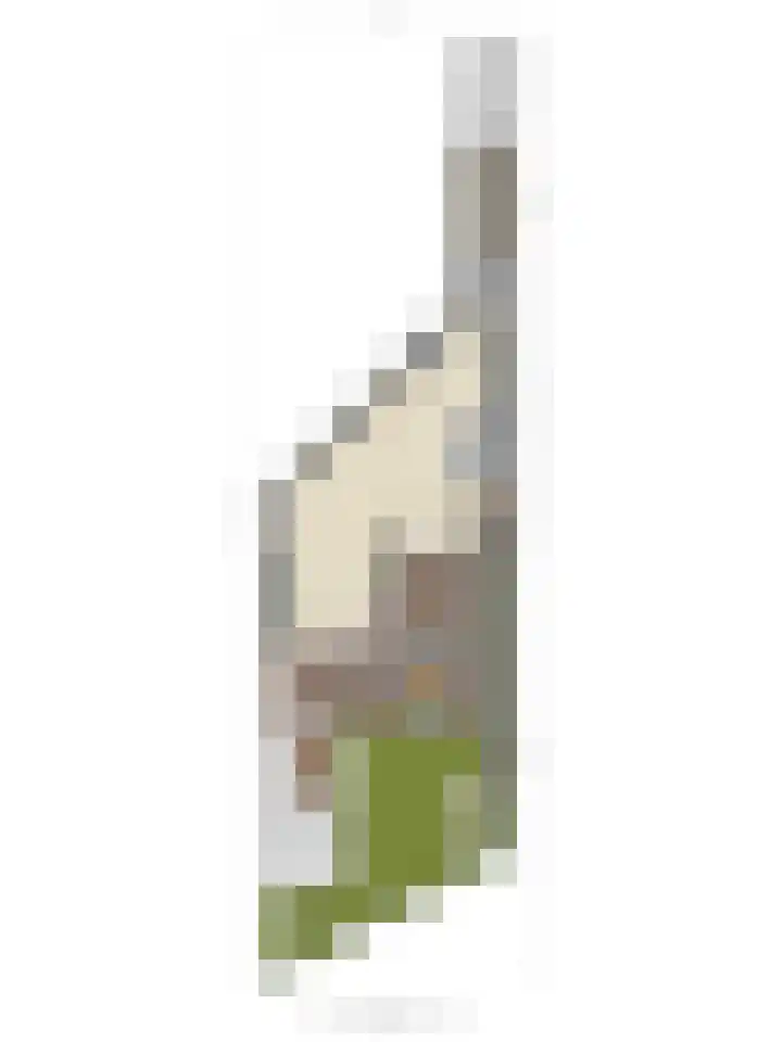 Schoener 24 Wieringerwerf thumbnail 50