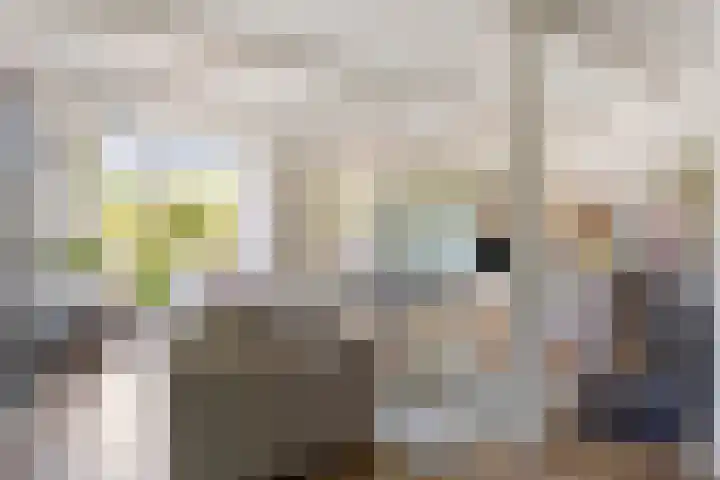 Schoener 24 Wieringerwerf thumbnail 9