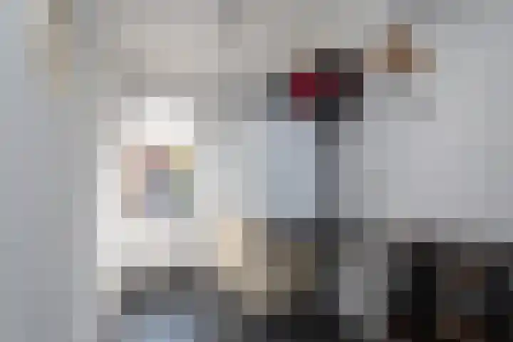 Schoener 25 Oude Wetering thumbnail 15