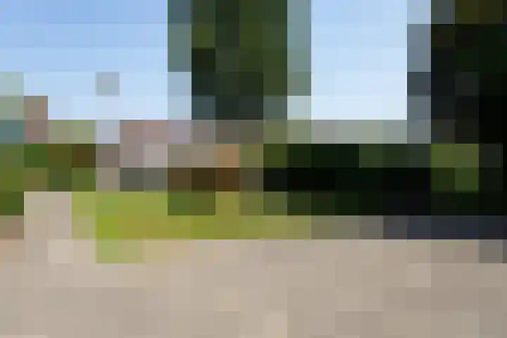 Schoener 25 Oude Wetering thumbnail 31