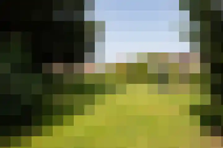 Schoener 25 Oude Wetering thumbnail 4