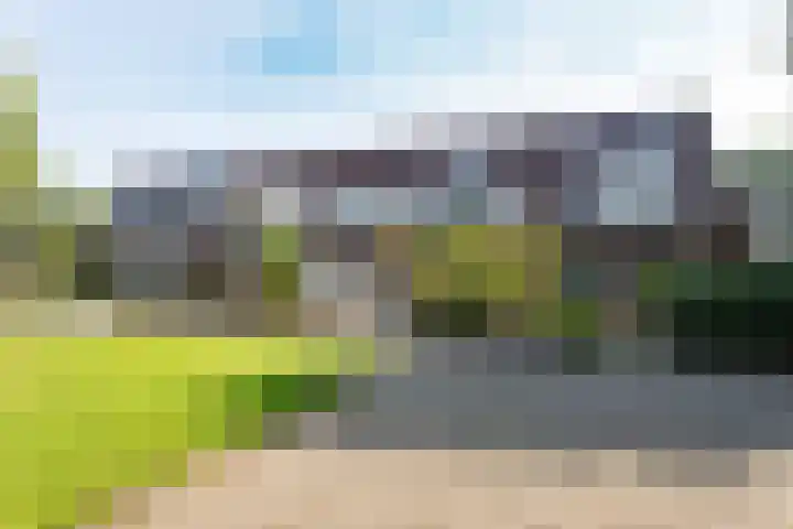 Schoener 25 Oude Wetering thumbnail 5