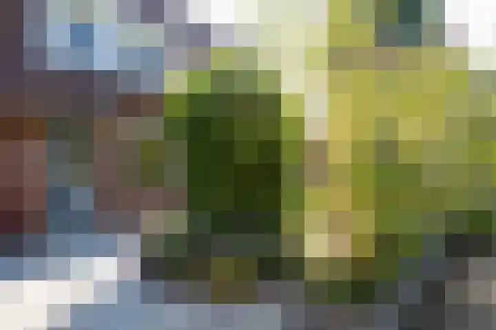 Schoener 25 Oude Wetering thumbnail 6