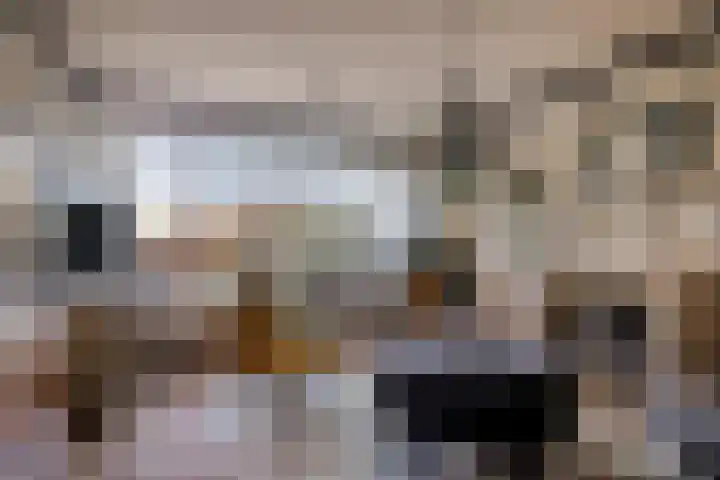 Schoener 25 Wieringerwerf thumbnail 17