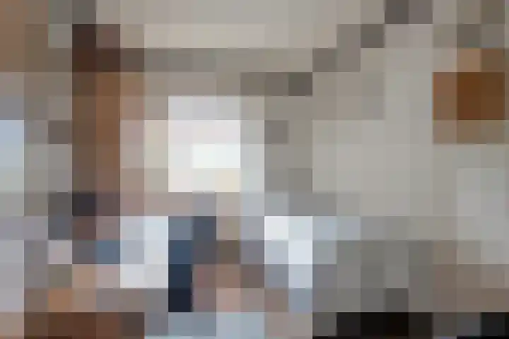 Schoener 25 Wieringerwerf thumbnail 24
