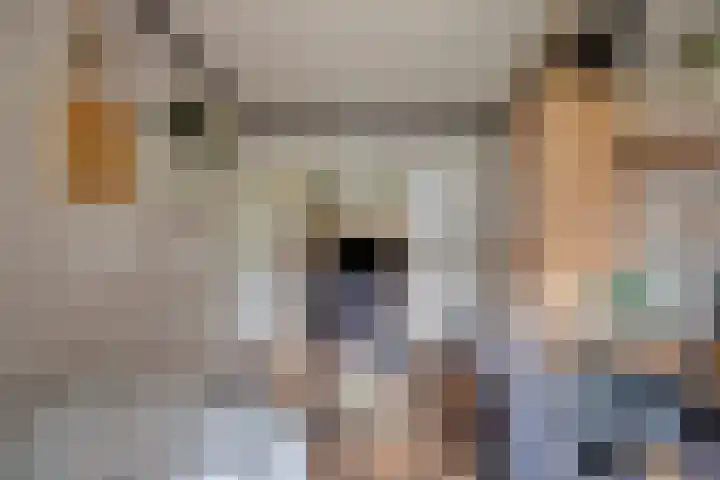 Schoener 25 Wieringerwerf thumbnail 25