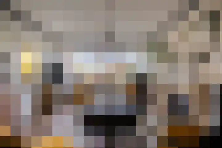 Schoener 25 Wieringerwerf foto 3