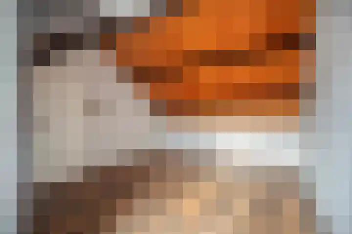 Schoener 25 Wieringerwerf thumbnail 31